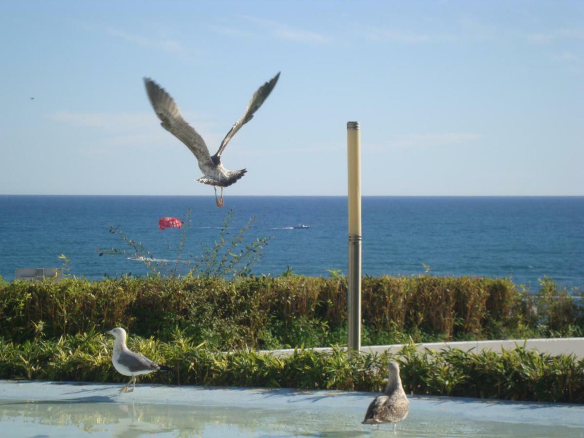 Gasthof Algarvia Boutique & Albufeira